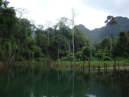 Hier brachte uns das Boot hin... tolle Umgebung, halt so richtig Regenwald !