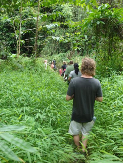 Unsere Gruppe auf dem Weg in den Dschungel...