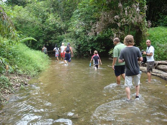 Unser Weg fuehrte immer wieder durch den Fluss... das machte richtig Spass !