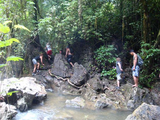 Und hier im Dschungel ueber diverse Steine...