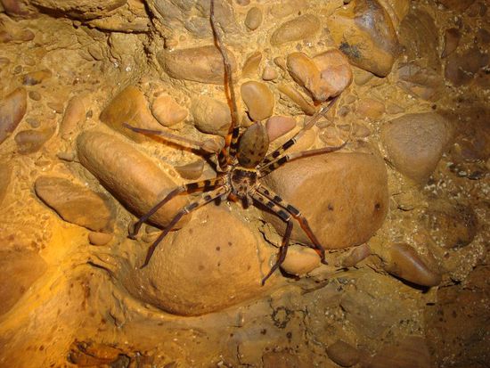 Und hier so richig etwas fuer meinen Bruder  Sieh wohl schoen aus mit den Farben, oder ? Uns hat's gefallen...