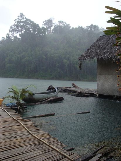 Tropischer Regenguss... aber das Timing der Rueckkehr war perfekt.
