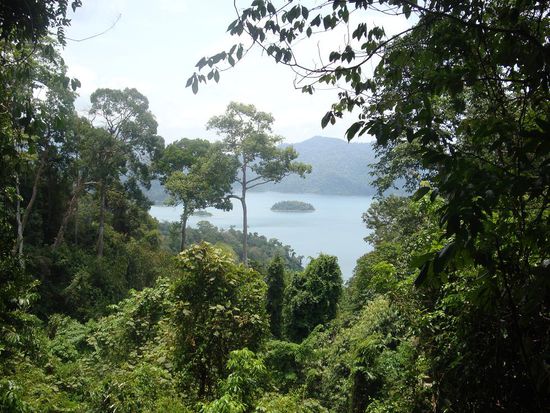 Aussicht aus dem Dschungel, kurz vor dem Ziel... hier war ich schon total verstochen.