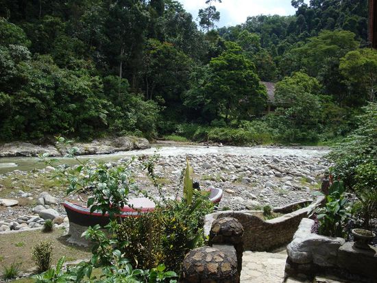 Uns so sah die Sicht vom Restaurant aus... der Fluss im Vordergrund und richtig dichter Jungel im Hintergrund !