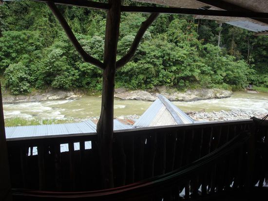 Dies war die Sicht von unserem Zimmer... direkt auf den Dschungel hinter dem Fluss.