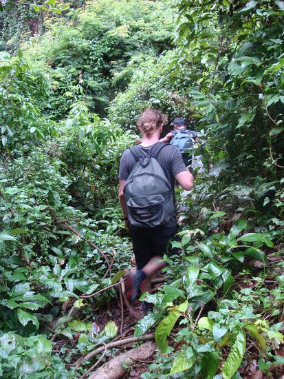 Schon von Anfang an war der Dschungel total dicht und die Wege teilweise richtig anstrengend, aber dies hatten wir uns auch erhofft.