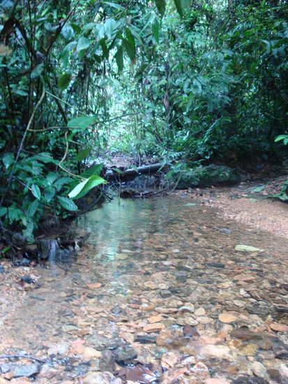 Teilweise haben wir einen kleinen Bach ueberquert... sieht wohl schoen aus ! Am liebsten waere ich gleich reingelegen... es war unglaublich heiss und ich war total verschwitz.