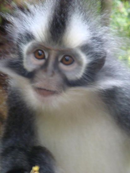 Und hier noch ein weiteres Foto etwas naeher, suess oder ?