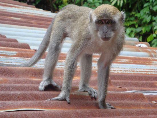 Und hier ungefaehr das Foto, das ich waehrendessen geschossen hatte 