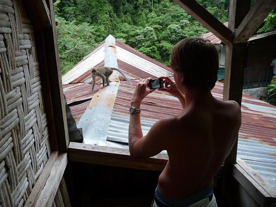 So sah dies aus, cooles Foto von Alain...