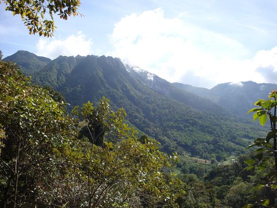 Der erste Aussichtspunkt... sieht wohl toll aus. Schon etwas faszinierendes so ein Vulkan...