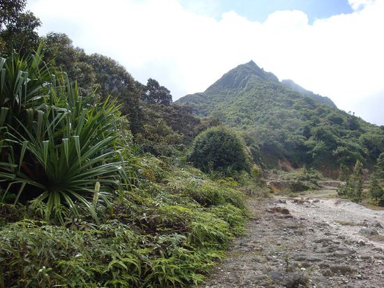 Schon ein wenig naeher am Ziel... nach gut einer Stunde war dann auch Schluss mit Strasse und ein schoner kleiner Weg begann...