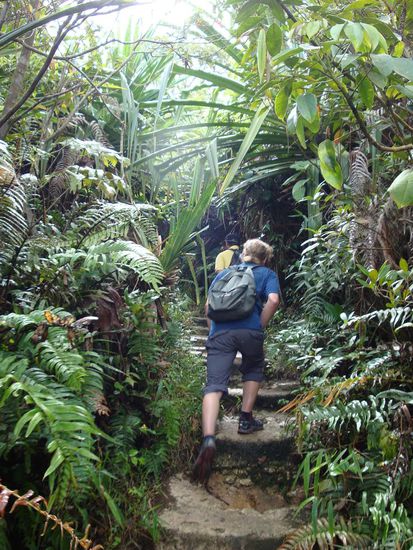 So sah ungefaehr der kleine aber wunderschoene "Trail" aus... Alain beim Aufstieg.