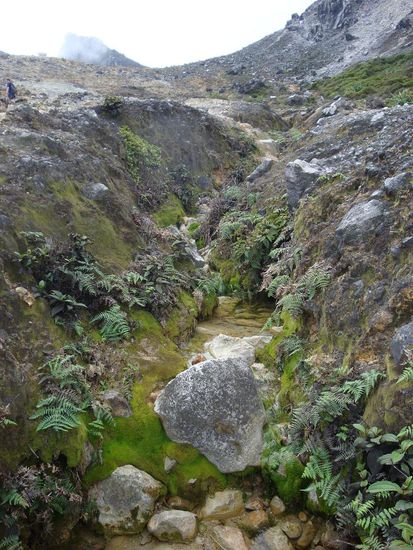 Der schoene kleine Bach, der sich durch's Tal zog...
