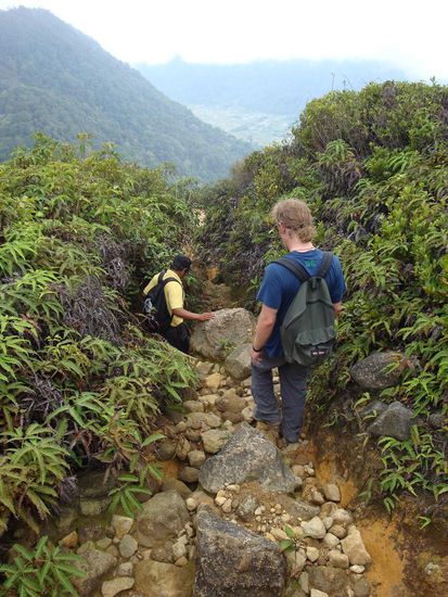 Die Steine waren ueberstanden, nun ging es im Gruenen weiter, aber auch dies hier sah wieder total anderst aus.