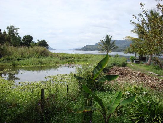 Sicht von der Terrasse des Bungalows zum See...