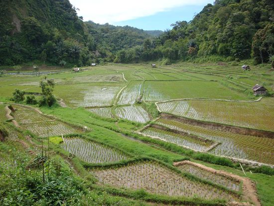 Wunderschoene Landschaft mit Reisfeldern... errinnerte mich ein wenig an die Philippinen.