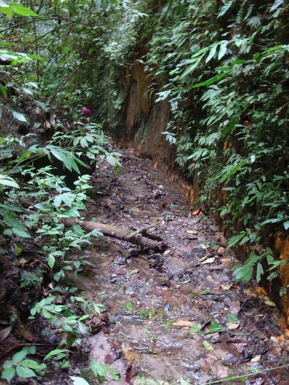 Unser Weg neben oder teilweise auch im Bach...