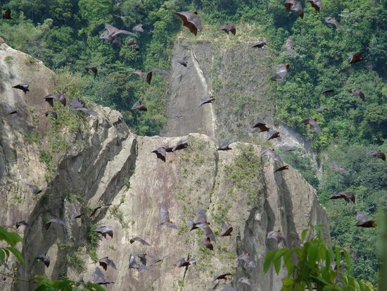 So sah dies ungefaehr aus... und das ist nur ein kleiner Ausschnitt des ganzen Anblickes.