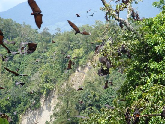 Es wimmelte nur so von den Tieren... ein total einzigartiges Erlebnis.