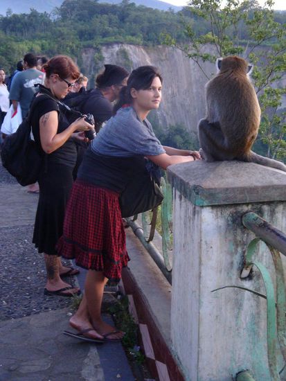 Patty, Sara und dahinter Paul waehrend des Sonnenuntergangs, natuerlich zusammen mit einem ueberhaupt nicht scheuen Affen.
