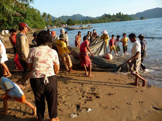 Das Netz wir noch vollstaendig eingezogen...