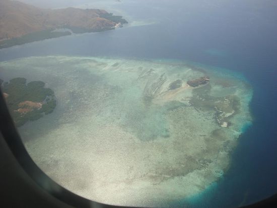 Der ganze Komodo Nationalpark ist bekannt fuer seine schoenen Tauchspots... tolles Riff.