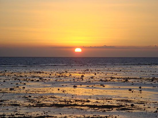 Ein wenig spaeter und diesmal herangezoomt...