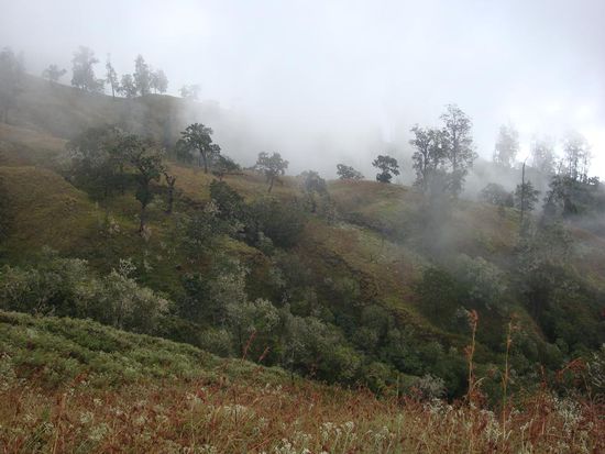 Auch dies war natuelich schoen, obwohl es immer noch sehr neblig und feucht war, aber die Landschaft war hier oben auf einmal total anderst.