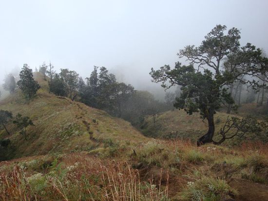 Nochmals ein Blick zurueck... sieht wohl cool aus mit dem Nebel !