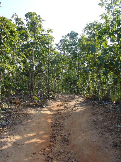 Aufstieg zum Canyon.