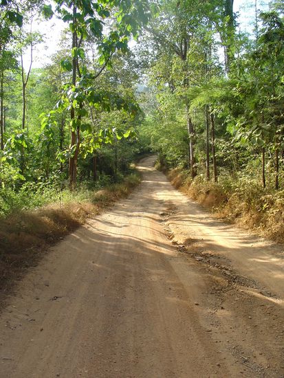 Strasse auf dem Weg zum Wasserfall.