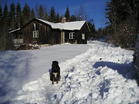 Mein Haus mit Ronja am 1. Tag