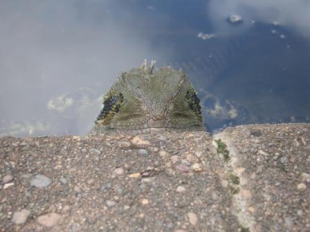 ... anfangs noch ein wenig schuechtern ...