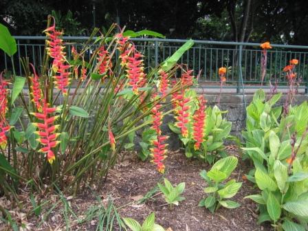 fuer die Blumenfreunde