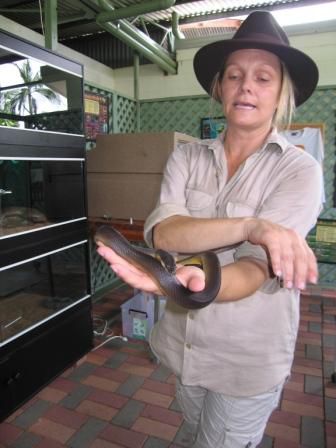 Tierpflegerin mit jungen Wasserpython