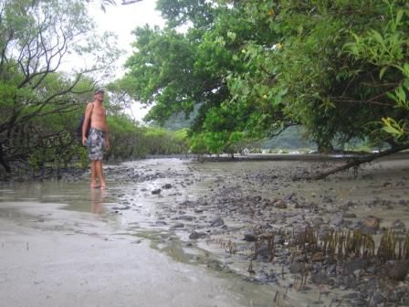 Strand mit Regenwald