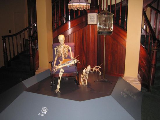 Nur nicht zu viel umhersitzen 