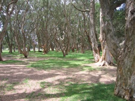... dieser Park ist sehr gross und die Leute kommen um zu machen wonach ihnen gerade ist. Sport, grillen, Picknick, mit dem Hund gehen, Voegel beobachten und im Gras liegen