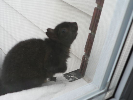 ob es uns sehen kann?