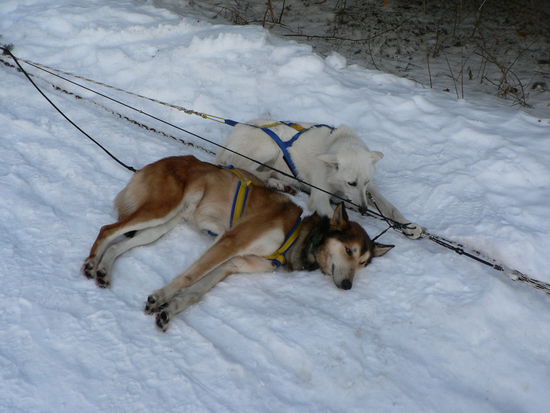 ... endlich Feierabend ...