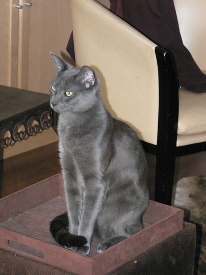 Baby Alfred (1 Jahr)