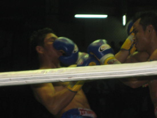 harter infight...