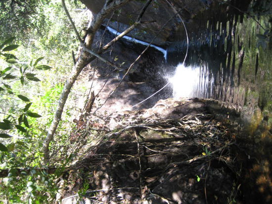 sprung ins frische nass