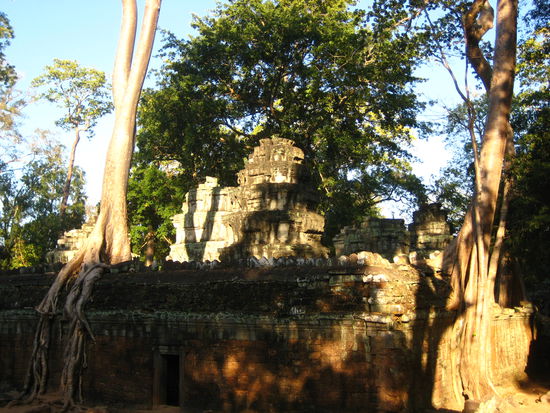 der "tomb raider" tempel