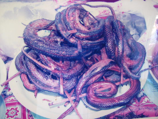 hauptnahrungsmittel..ja schlangen