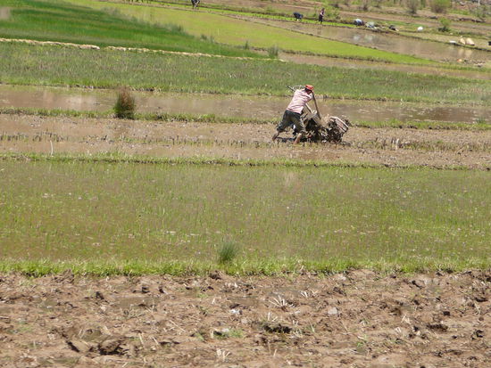 Reisbauer auf dem Weg nach Lijiang (also ich )
