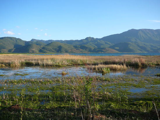 So sieht es hier aus, wo ich wohne