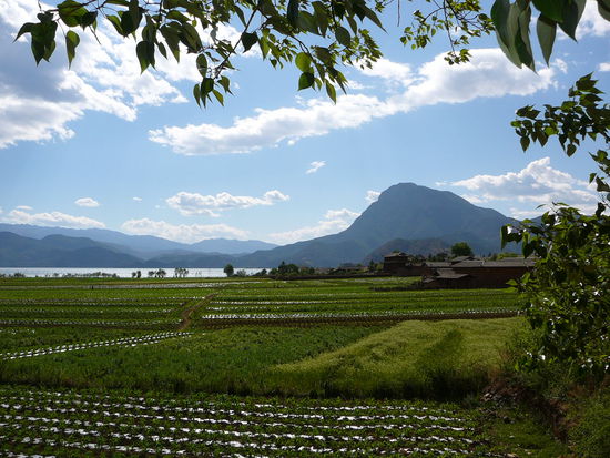 und noch ein Kodak-Panorama...