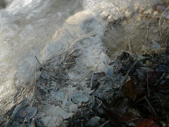 wohl eher nicht, bei den Wassermassen...
